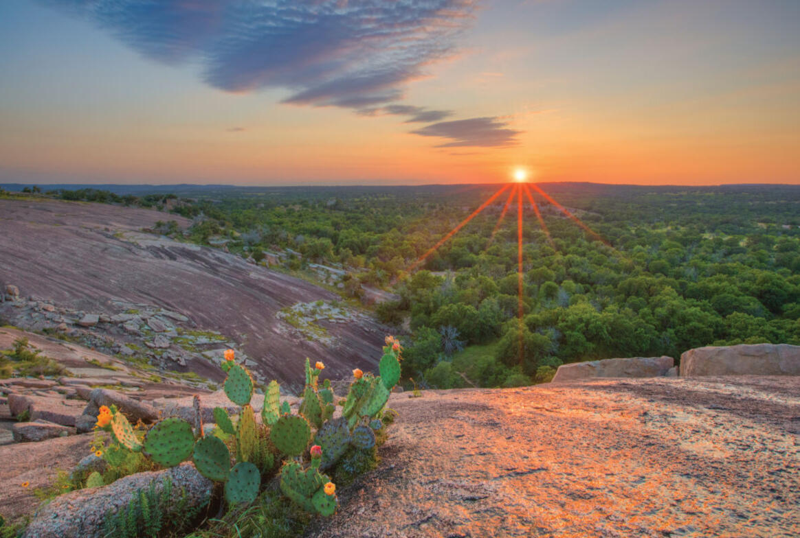 Texas Texas